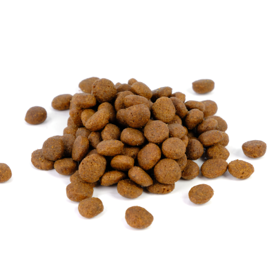 Natura Diet Dog Puppy Junior Large Breed