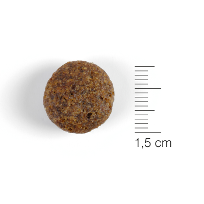 Natura Diet Dog Lamb & Rice