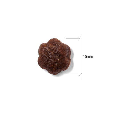 Natura Diet Dog Wild Instinct Grain Free Duck & Sweet potato