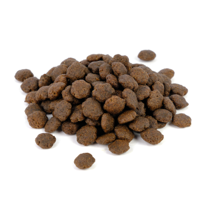 Natura Diet Dog Wild Instinct Grain Free Salmon & Coconut